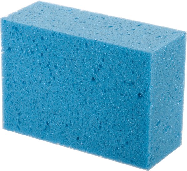 Big Sponge blau