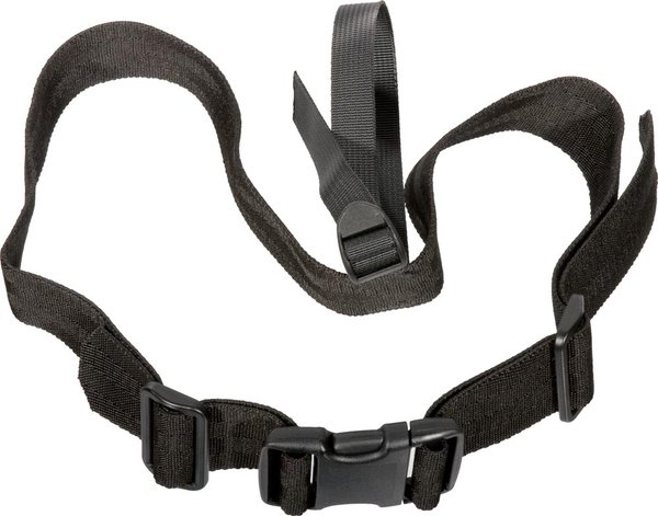 Helmi Back Belt with Clip Buckle